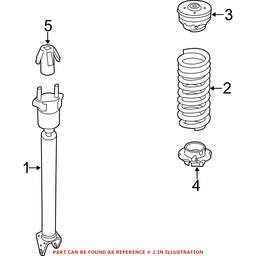 Coil Spring - Rear